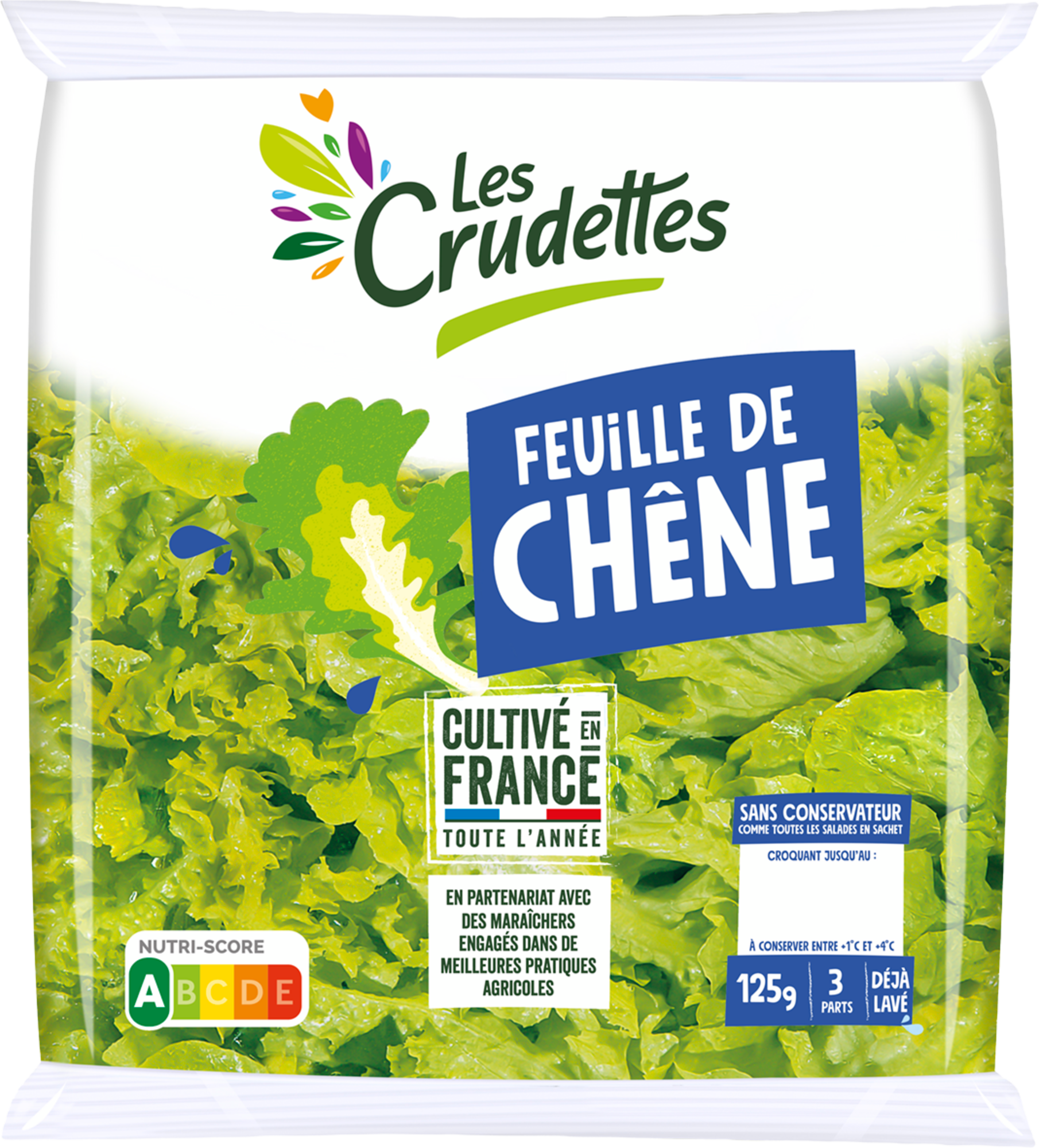 LES CRUDETTES Feuille de chêne