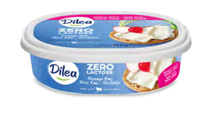 DILEA FROMAGE FRAIS SANS LACTOSE