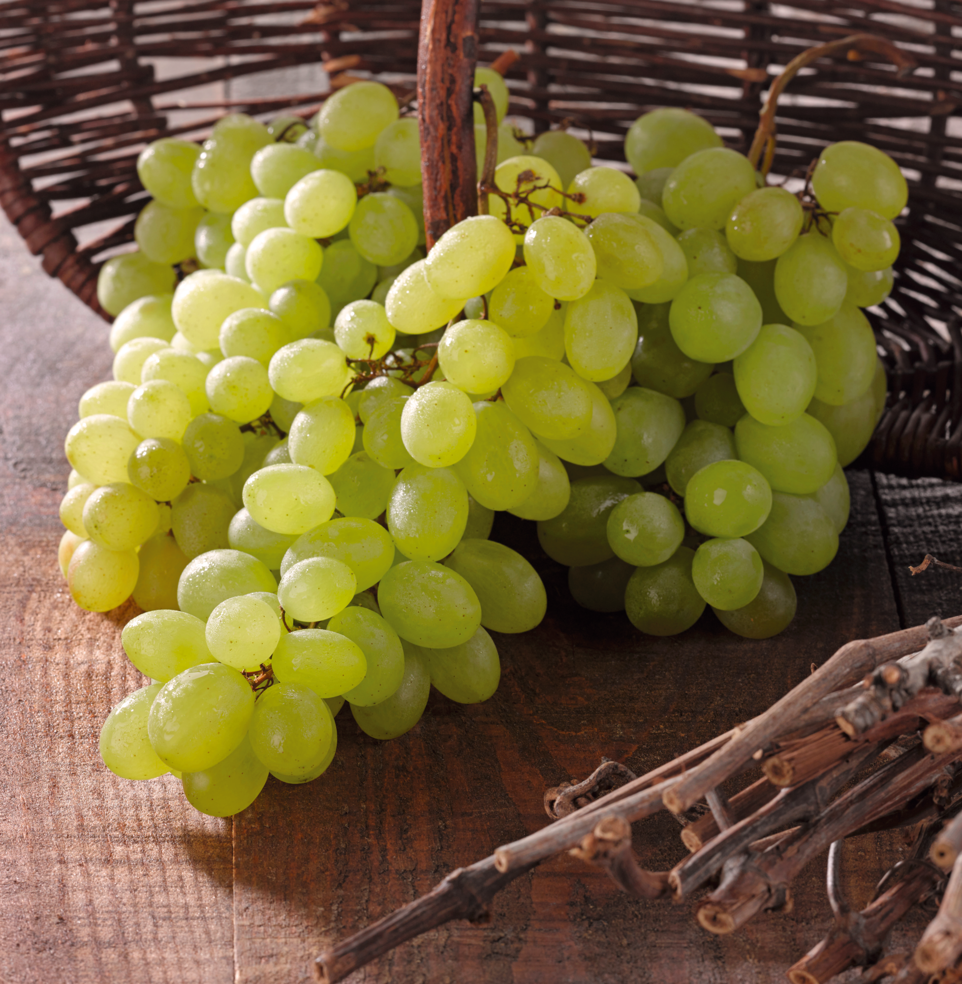 Raisin blanc sans pépin