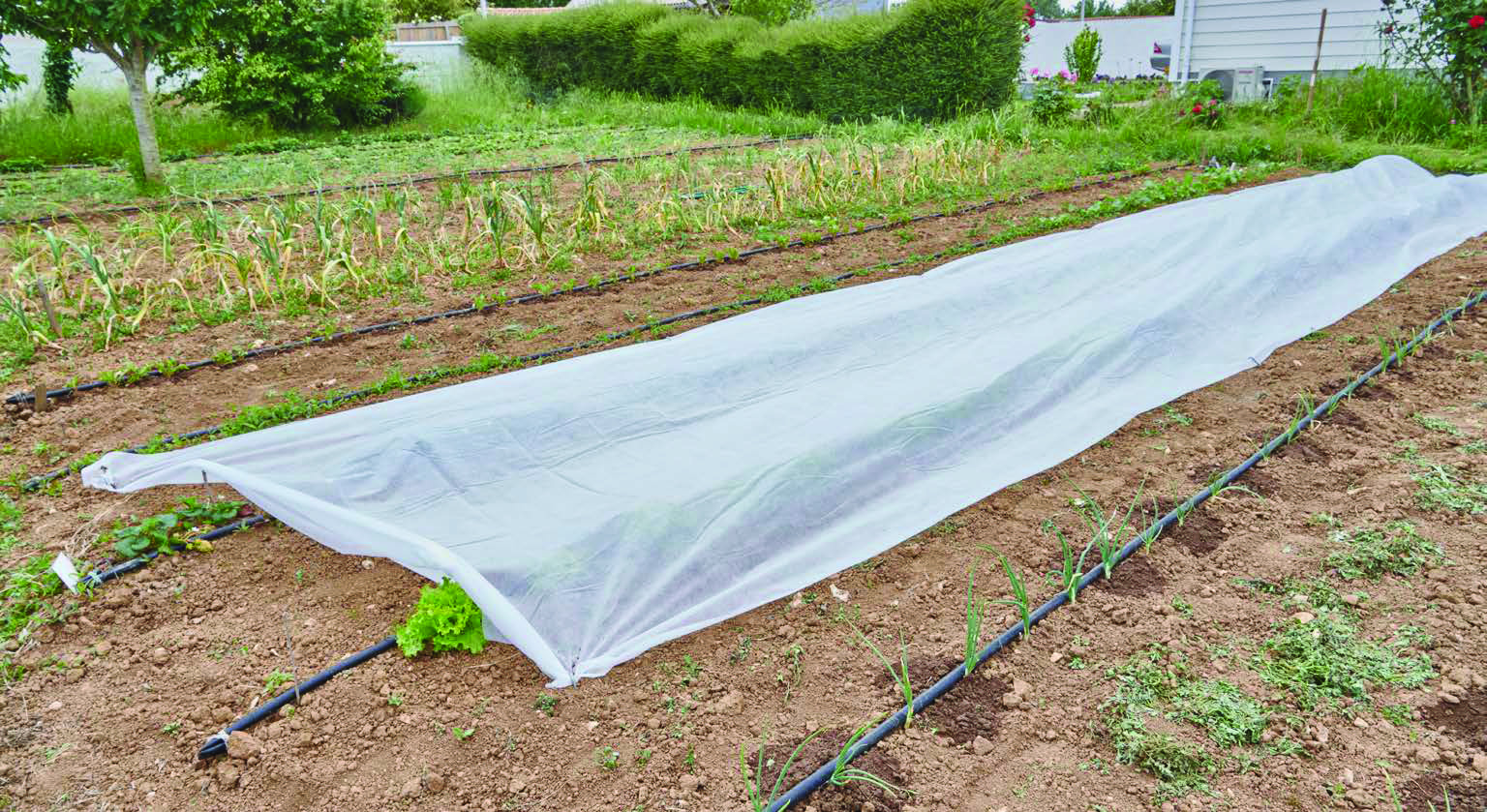 VOILE D'HIVERNAGE