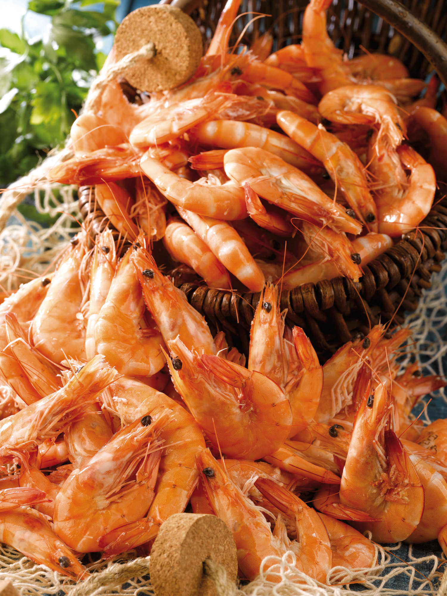 Crevettes cuites 30 à 50 pièces au kg