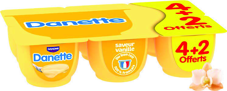 DANONE DANETTE SAVEUR VANILLE