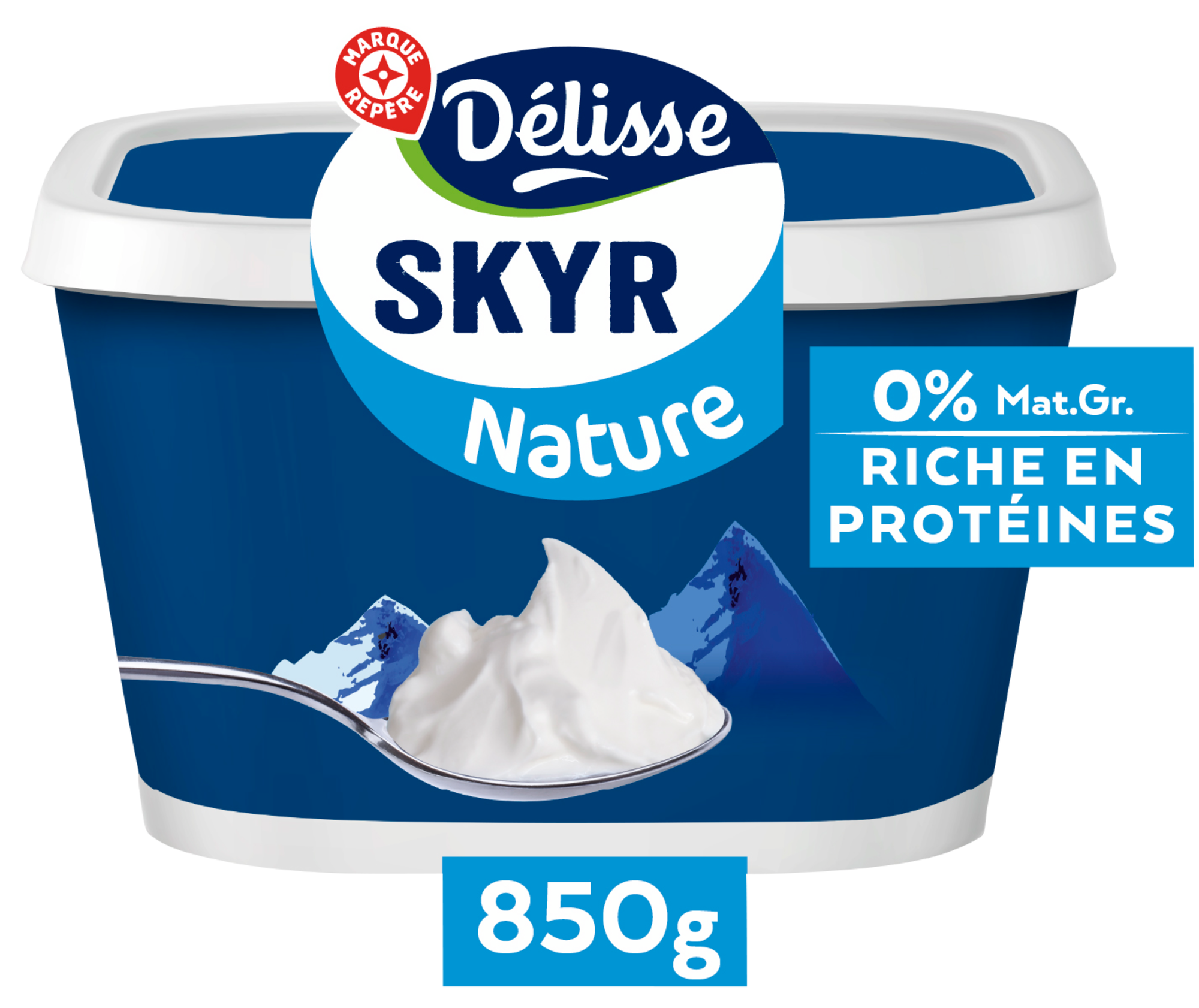 DÉLISSE SKYR NATURE